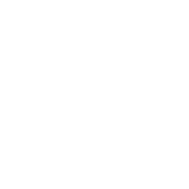 Ligue Braille